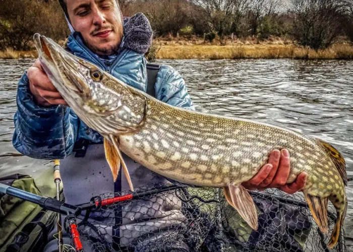 Mobil-home Cosy 6 Pers Avec Terrasse - Api-1-52-1949