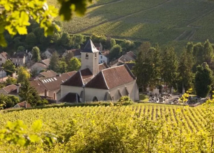 Campingplads Mobil-home Cosy 6 Pers Avec Terrasse - Api-1-52-1949